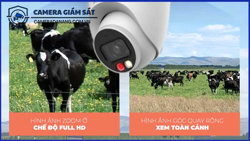 bo-10-camera-ip-poe-dahua-2mp-ban-dem-co-mau-co-mic-2