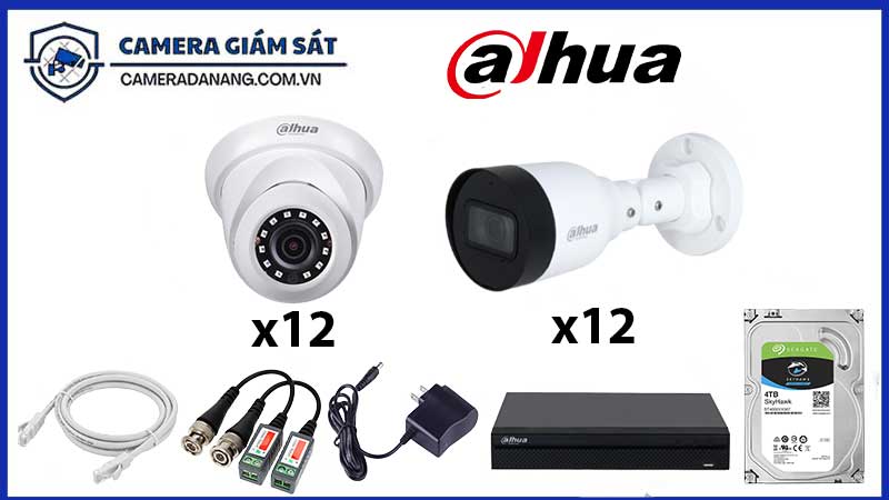 bo-24-camera-giam-sat-ip-dahua-4mp-ban-dem-co-mau-1