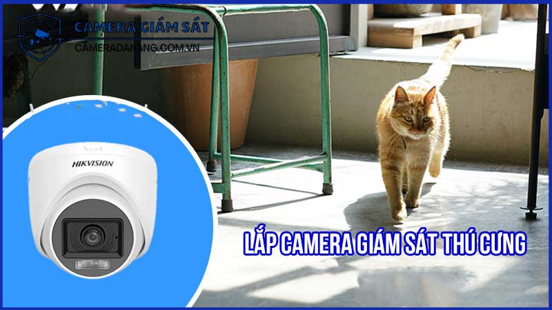 bo-9-camera-giam-sat-analog-hikvision-2mp-co-am-thanh-2