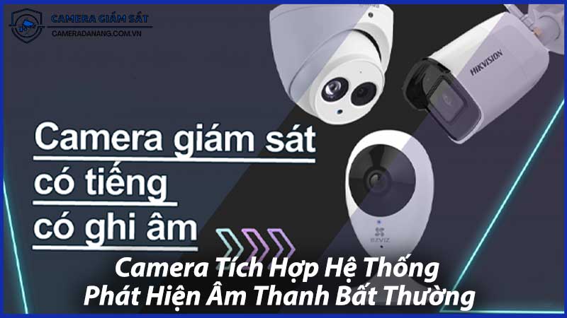 Camera-Tích-Hợp-Hệ-Thống-Phát-Hiện-Âm-Thanh-Bất-Thường-0