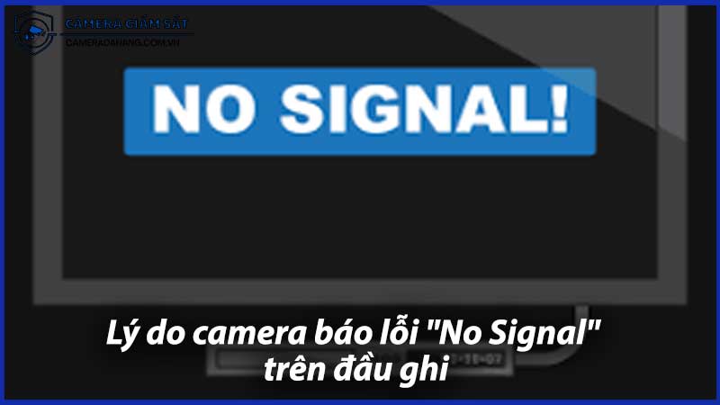 Lý-Do-Camera-Báo-Lỗi-No-Signal-Trên-Đầu-Ghi-0