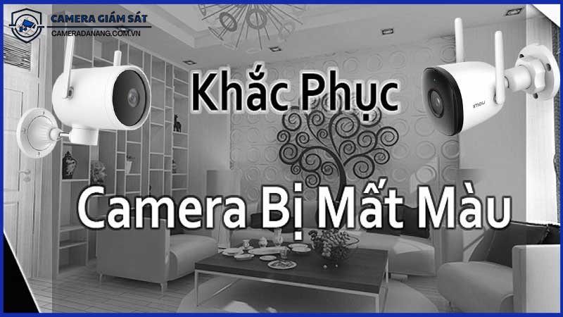 huong-dan-sua-chua-loi-camera-bi-mat-mau-0