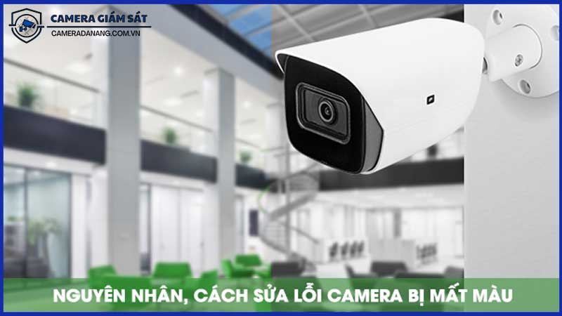huong-dan-sua-chua-loi-camera-bi-mat-mau-1