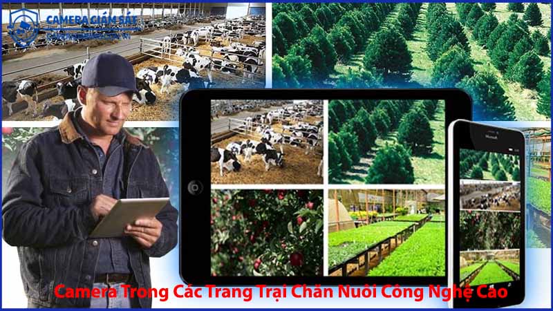 ung-dung-camera-trong-cac-trang-trai-chan-nuoi-cong-nghe-cao-1