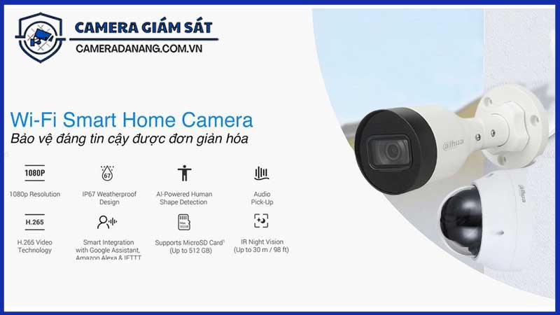 bo-30-camera-giam-sat-dahua-ip-ban-dem-co-mau-2