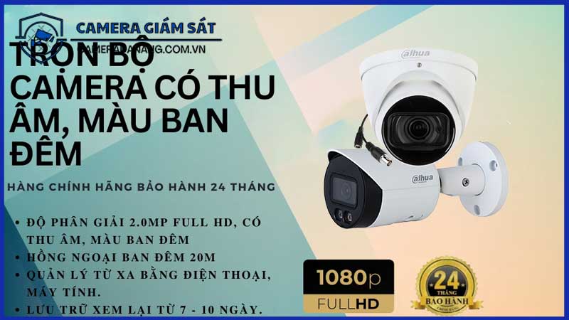 bo-80-camera-ip-poe-dahua-2mp-ban-dem-co-mau-co-am-thanh-2