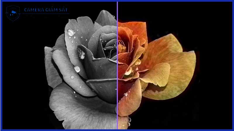 cach-dieu-chinh-do-sang-va-tuong-phan-tren-dh-h4ae-1