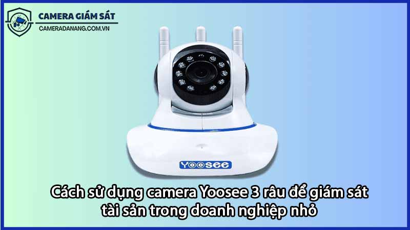 cach-su-dung-camera-yoosee-3-rau-de-giam-sat-tai-san-trong-doanh-nghiep-nho-0