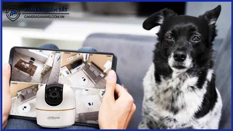 cach-su-dung-dh-h4ae-de-giam-sat-thu-cung-1