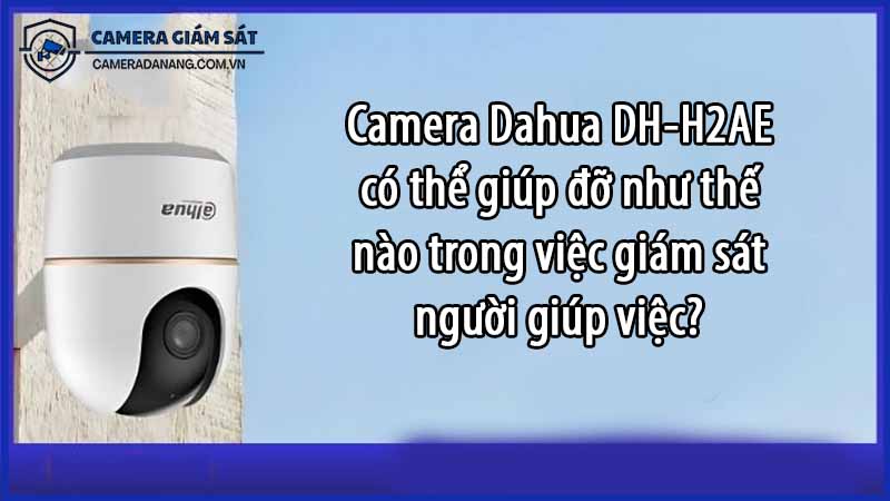 camera-dahua-dh-h2ae-co-the-giup-do-nhu-the-nao-trong-viec-giam-sat-nguoi-giup-viec-0