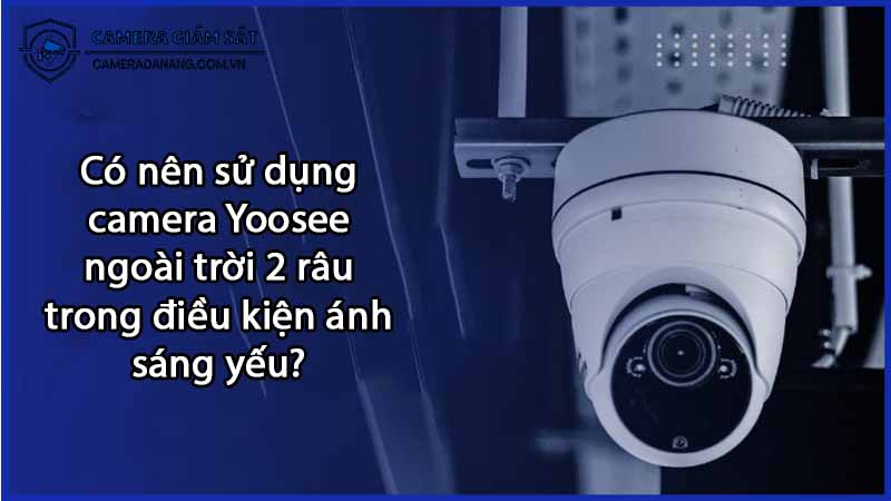 co-nen-su-dung-camera-yoosee-ngoai-troi-2-rau-trong-dieu-kien-anh-sang-yeu-0