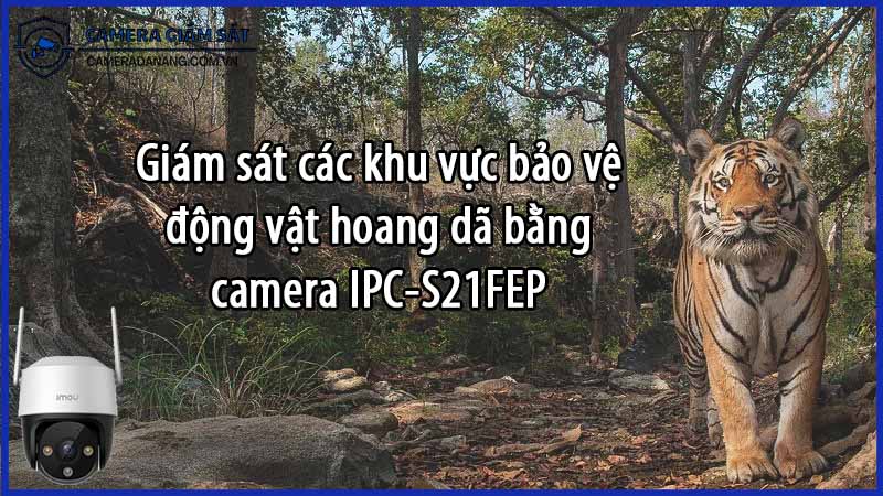 giam-sat-cac-khu-vuc-bao-ve-dong-vat-hoang-da-bang-camera-ipc-s21fep-0