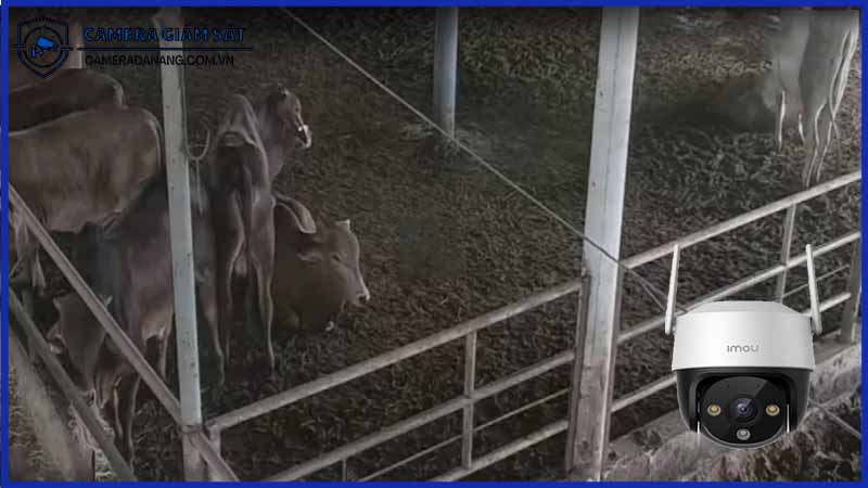 giam-sat-cac-khu-vuc-nong-trai-va-trang-trai-bang-camera-ipc-s21fep-1