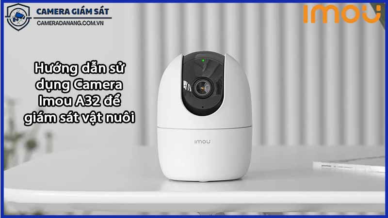 huong-dan-su-dung-camera-imou-a32-de-giam-sat-vat-nuoi-0