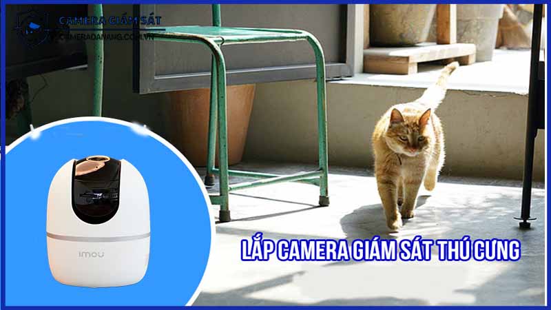 huong-dan-su-dung-camera-imou-a32-de-giam-sat-vat-nuoi-1