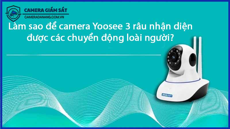 lam-sao-de-camera-yoosee-3-rau-nhan-dien-duoc-cac-chuyen-dong-loai-nguoi-0