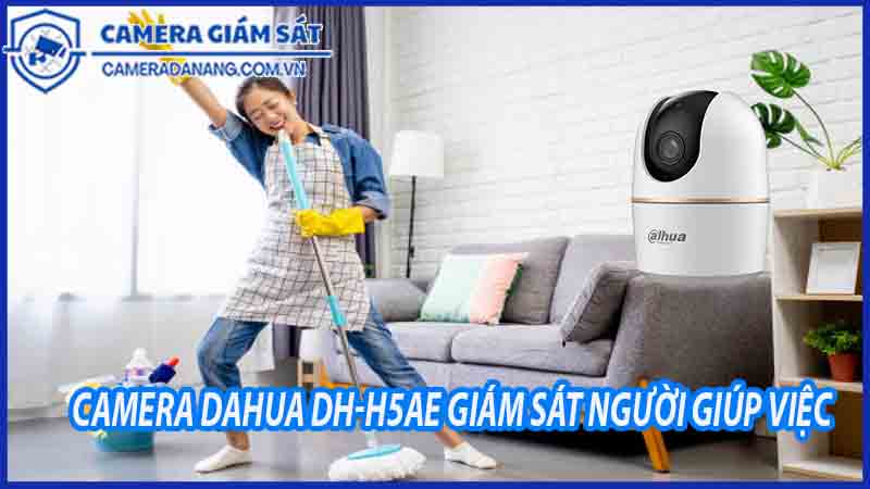 su-dung-camera-dahua-dh-h5ae-giam-sat-nguoi-giup-viec-va-bao-ve-tai-san-trong-nha-0