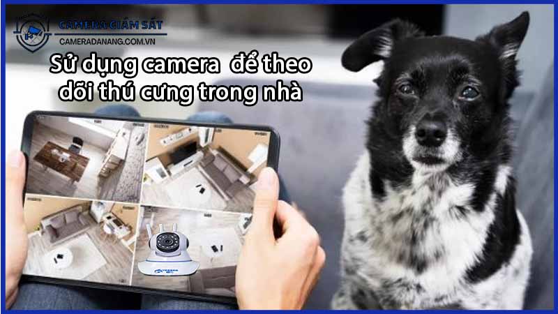 su-dung-camera-yoosee-3-rau-de-theo-doi-thu-cung-trong-nha-0