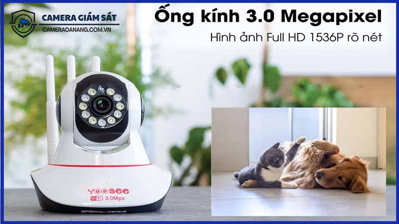 su-dung-camera-yoosee-3-rau-de-theo-doi-thu-cung-trong-nha-1