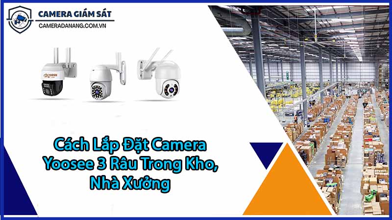 su-dung-camera-yoosee-3-rau-trong-giam-sat-kho-nha-xuong-1