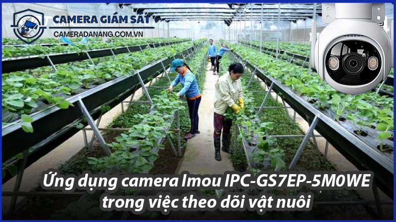 ung-dung-camera-imou-ipc-gs7ep-5m0we-trong-viec-theo-doi-vat-nuoi-0