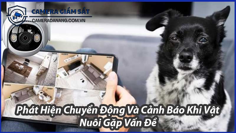 ung-dung-camera-imou-ipc-gs7ep-5m0we-trong-viec-theo-doi-vat-nuoi-1