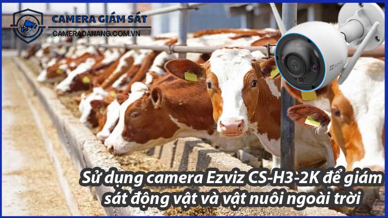su-dung-camera-ezviz-cs-h3-2k-de-giam-sat-dong-vat-va-vat-nuoi-ngoai-troi-0