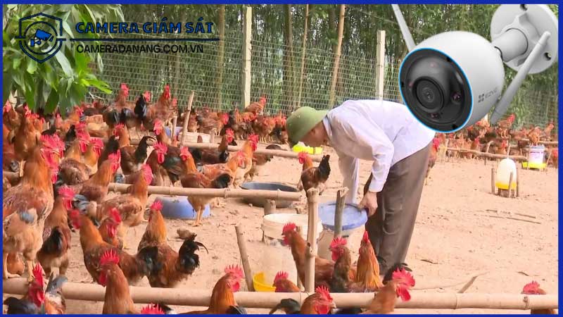 su-dung-camera-ezviz-cs-h3-2k-de-giam-sat-dong-vat-va-vat-nuoi-ngoai-troi-1