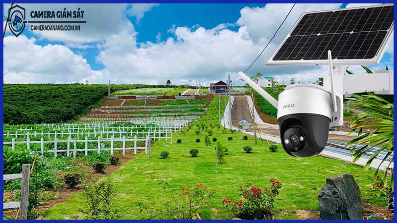 Lắp camera Imou ở nông trại, trang trại có hiệu quả không?