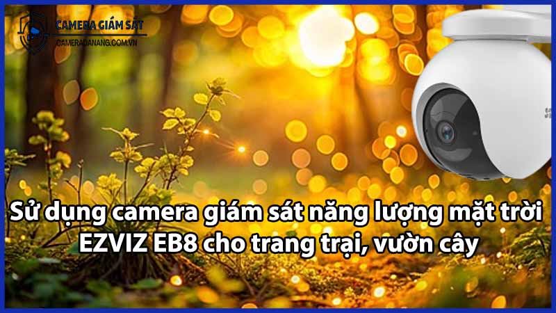 Sử dụng camera giám sát năng lượng mặt trời EZVIZ EB8 cho trang trại, vườn cây
