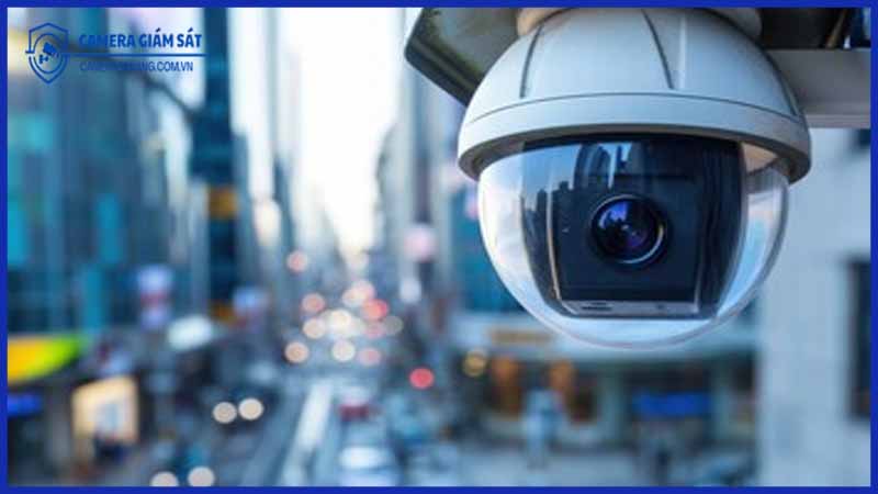 cách-nhẫn-biet-cam-hong-cam-bien-hinh-anh