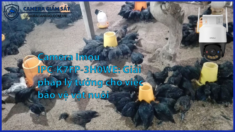 camera-imou-ipc-k7fp-3h0we-giai-phap-ly-tuong-cho-viec-bao-ve-vat-nuoi-0