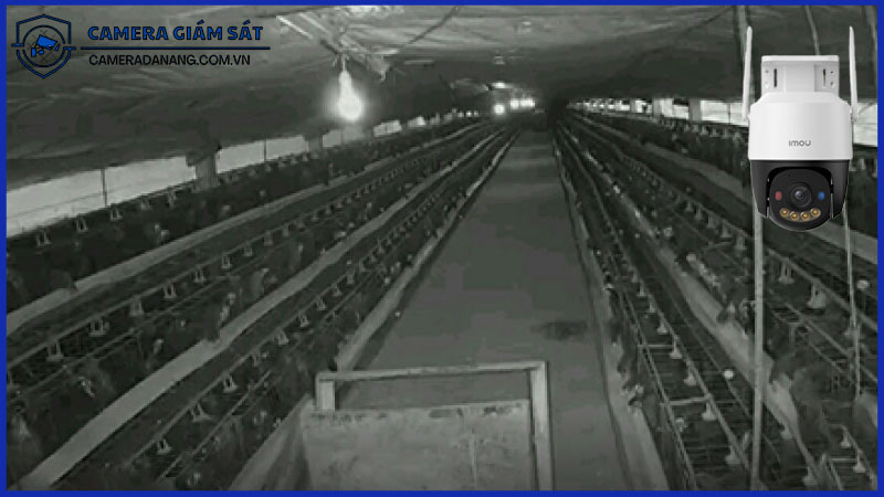 camera-imou-ipc-k7fp-3h0we-giai-phap-ly-tuong-cho-viec-bao-ve-vat-nuoi-1