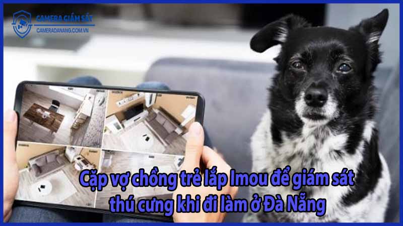 cap-vo-chong-tre-lap-imou-de-giam-sat-thu-cung-khi-di-lam-o-da-nang