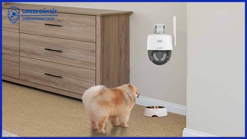 ghi-lai-khoanh-khac-hiem-co-cua-thu-cung-nho-máy ảnh-ptz-xoay-toan-canh