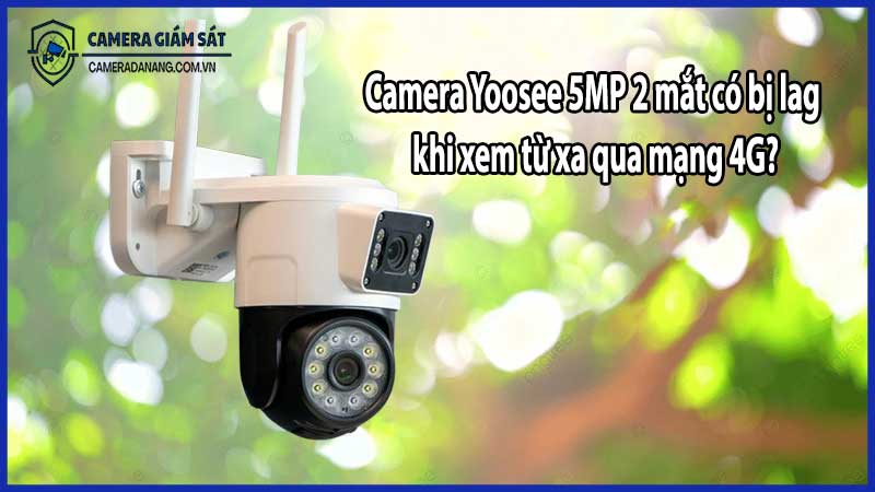 Camera Yoosee 5MP 2 mắt có bị lag khi xem từ xa qua mạng 4G?