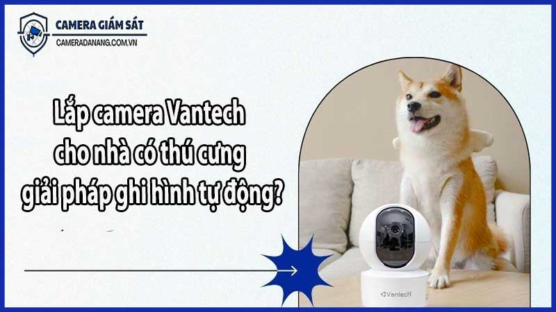 Lắp camera Vantech cho nhà có thú cưng – giải pháp ghi hình tự động?