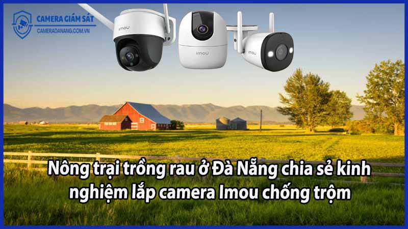 nong-trai-trong-rau-o-da-nang-chia-se-kinh-nghiem-lap-camera-imou-chong-trom