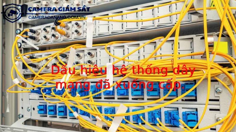 dau-hieu-he-thong-day-mang-da-xuong-cap-2