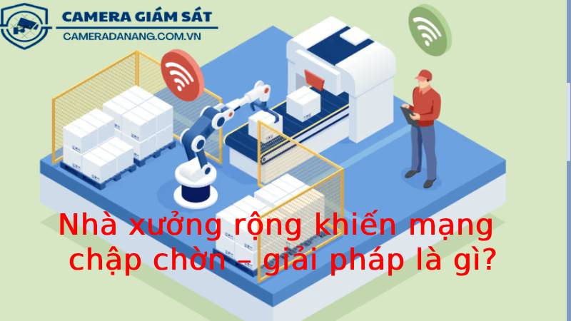 nha-xuong-rong-khien-mang-chap-chon-giai-phap-la-gi-2