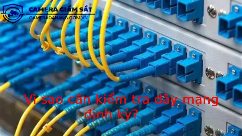 vi-sao-can-kiem-tra-day-mang-dinh-ky-2