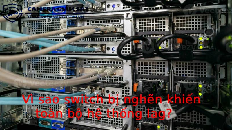 vi-sao-switch-bi-nghen-khien-toan-bo-he-thong-lag-2